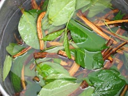 chacruna, yag et ayahuasca, 3 composants
                parfois